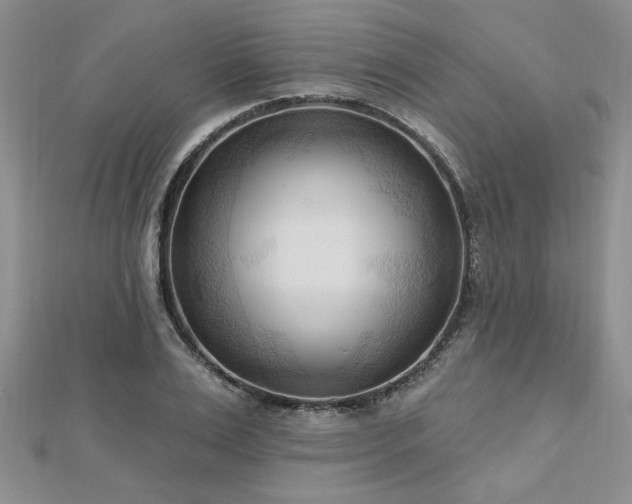 X0000113130983200909041144