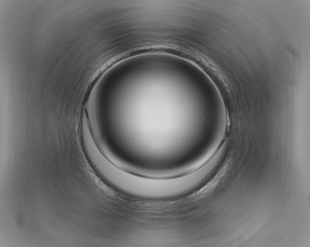 X0000113130985200909041144