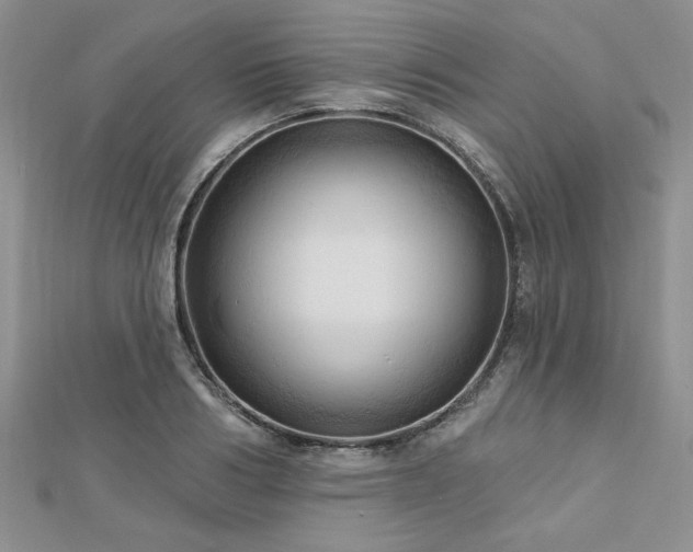X0000113130986200909041144