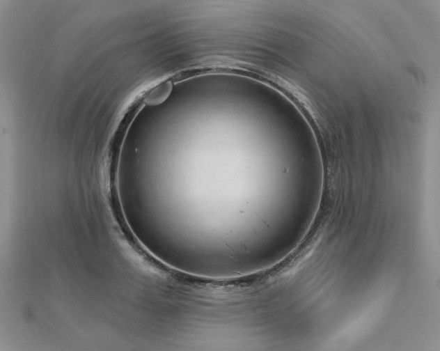 X0000113130987200909041144