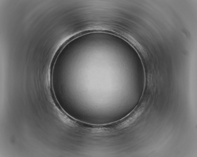 X0000113130988200909041144