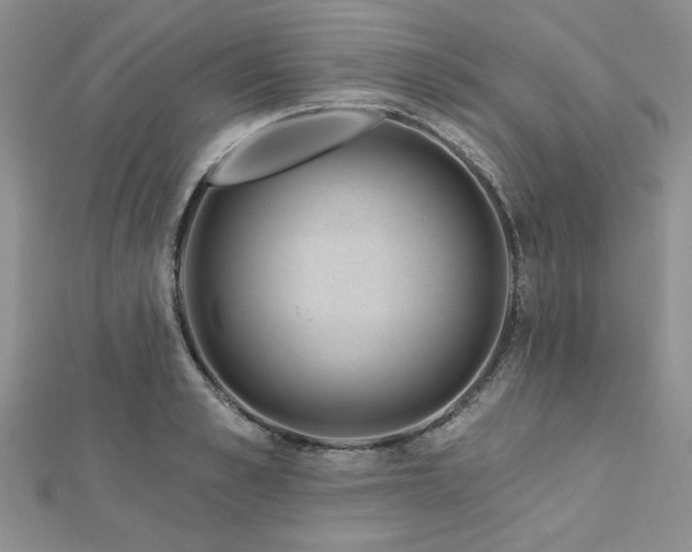 X0000113130989200909041144