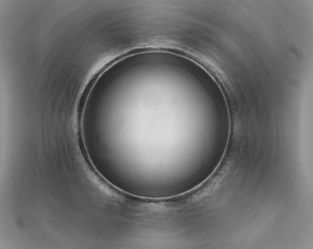 X0000113130990200909041144