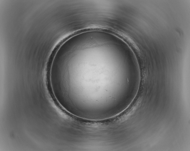 X0000113130991200909041144