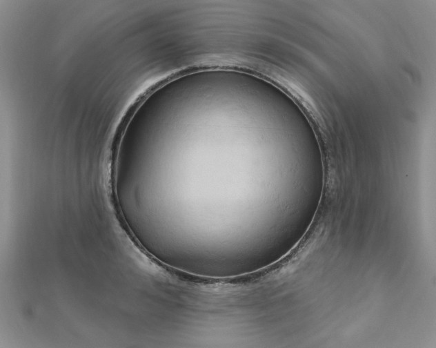 X0000113130992200909041144