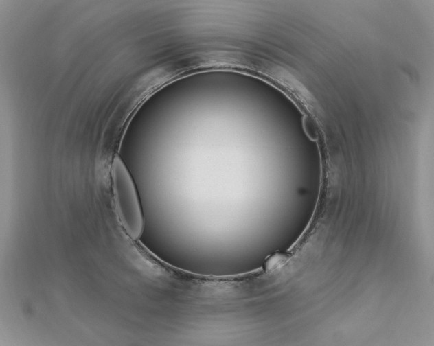X0000113130993200909041144