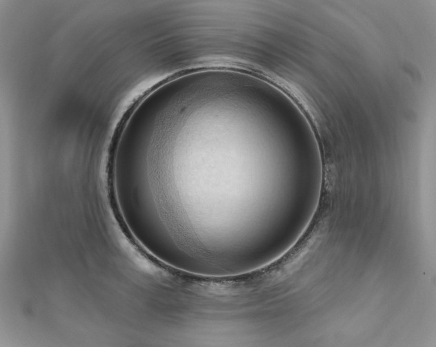 X0000113130995200909041144