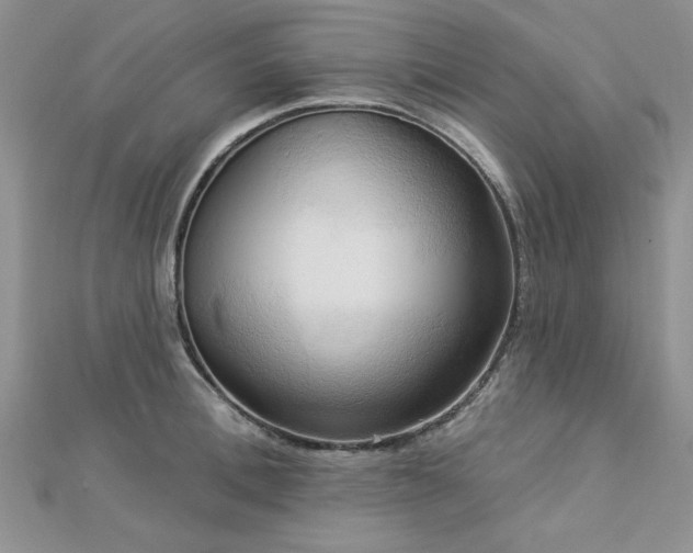 X0000113130996200909041143