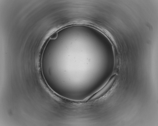X0000113130997200909041143