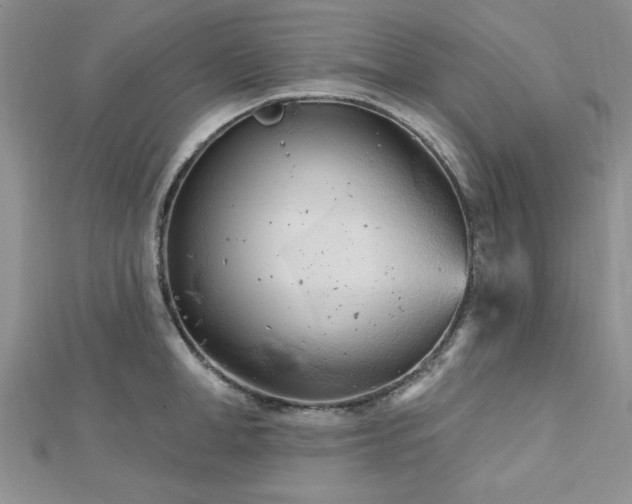 X0000113130998200909041143