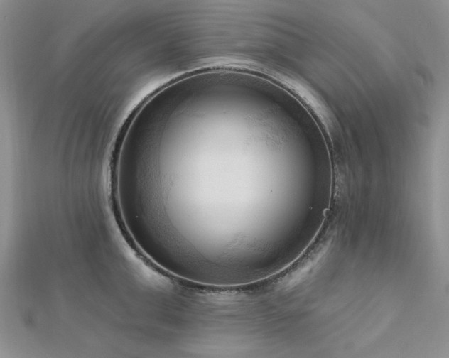 X0000113130999200909041143