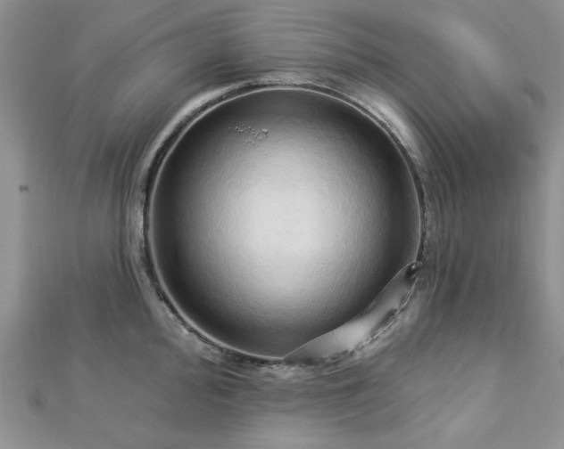 X0000113131000200909041143