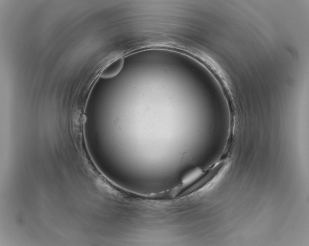 X0000113131001200909041143