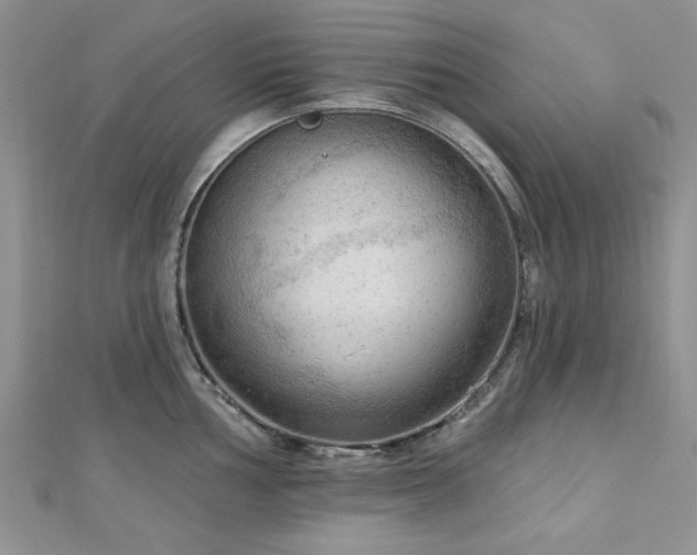 X0000113131002200909041143