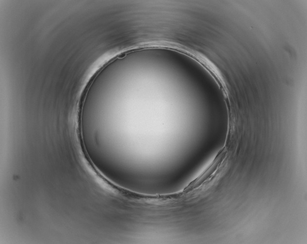 X0000113131005200909041143