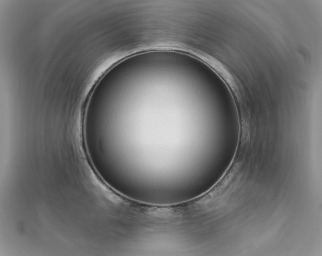 X0000113131006200909041143