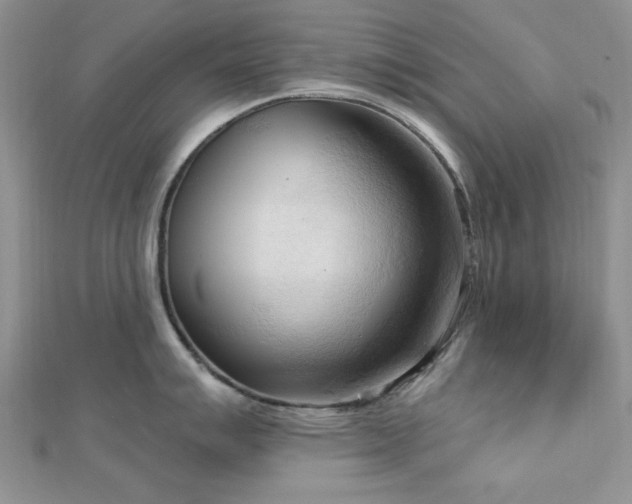 X0000113131007200909041143