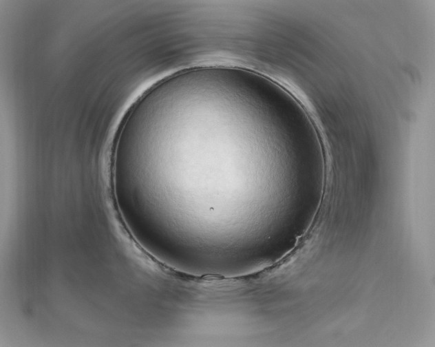 X0000113131008200909041143