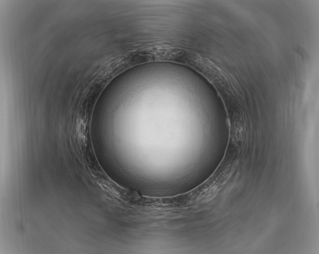 X0000113131010200909041143