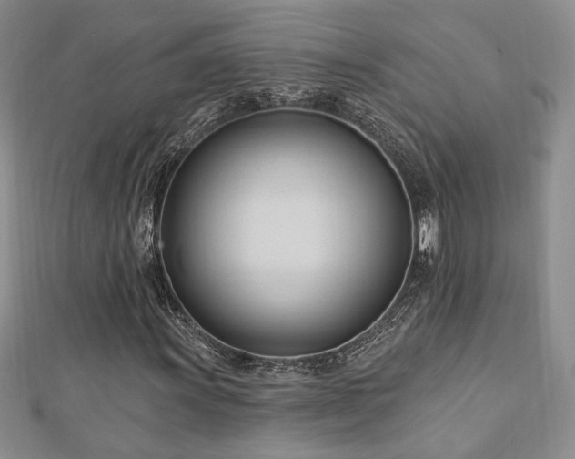 X0000113131011200909041143