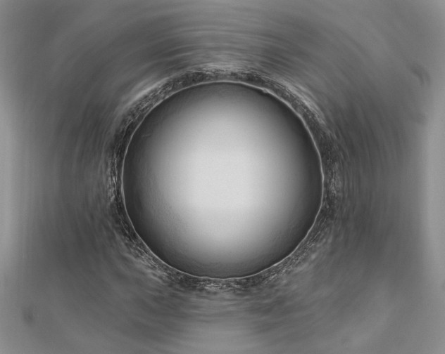 X0000113131015200909041143