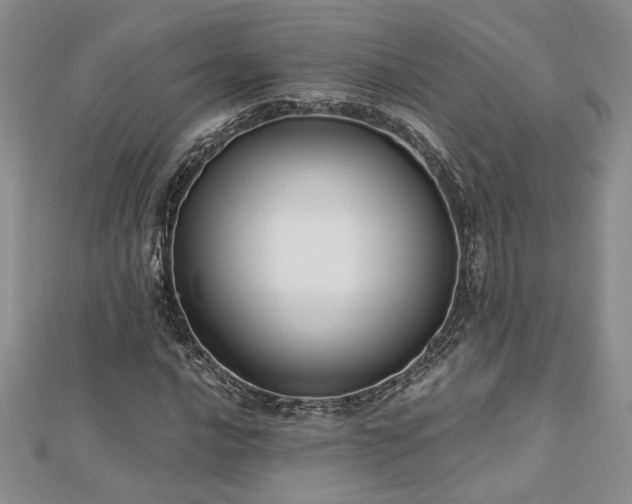 X0000113131016200909041143