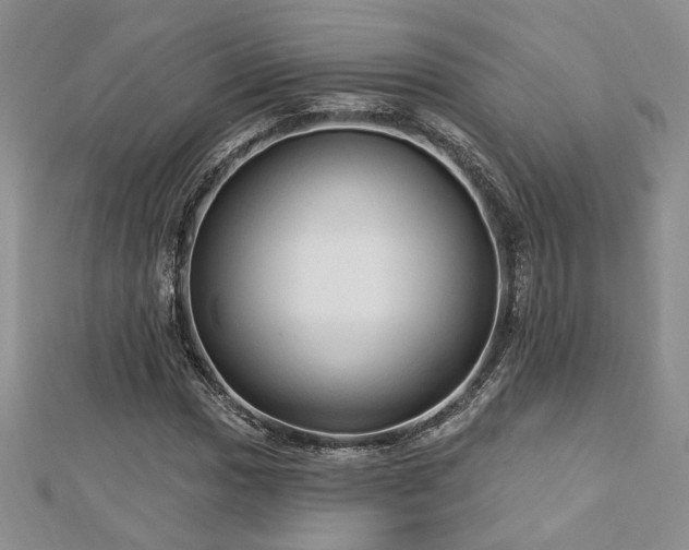 X0000113131017200909041143