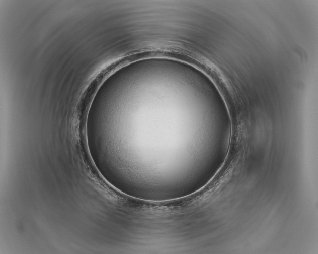 X0000113131019200909041143