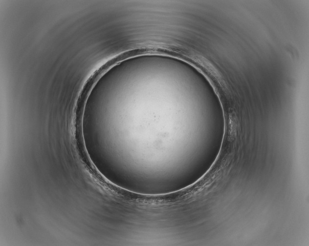 X0000113131020200909041143