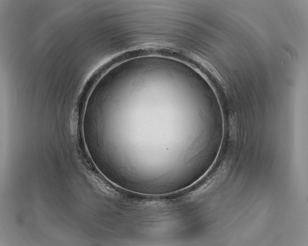 X0000113131021200909041143