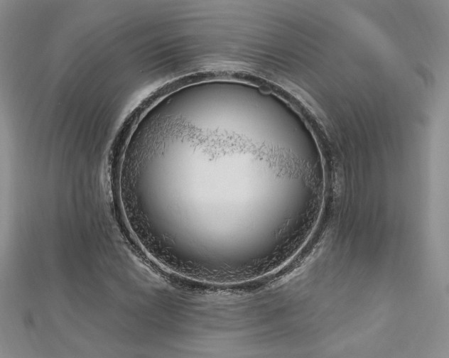 X0000113131022200909041143