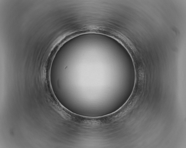 X0000113131023200909041143