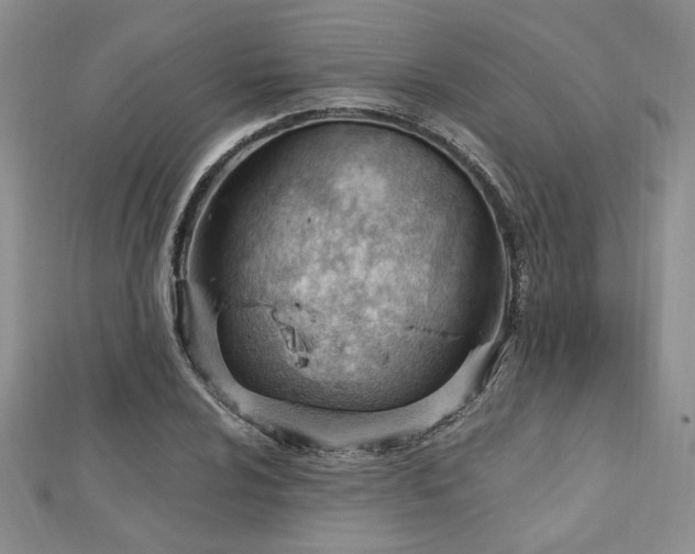 X0000113131024200909041143