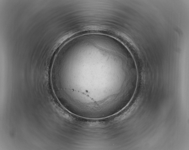 X0000113131025200909041143
