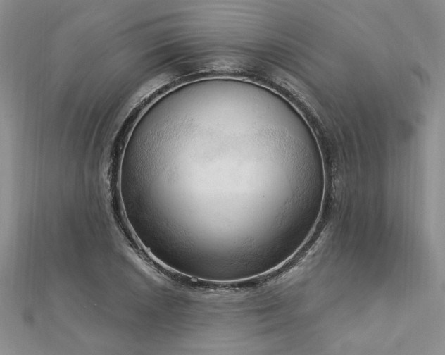 X0000113131026200909041143