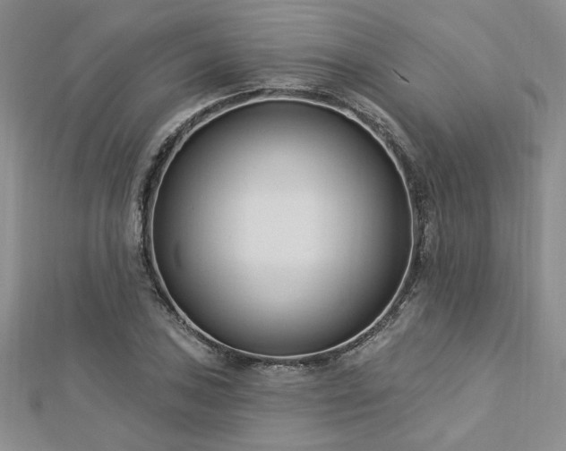 X0000113131027200909041143