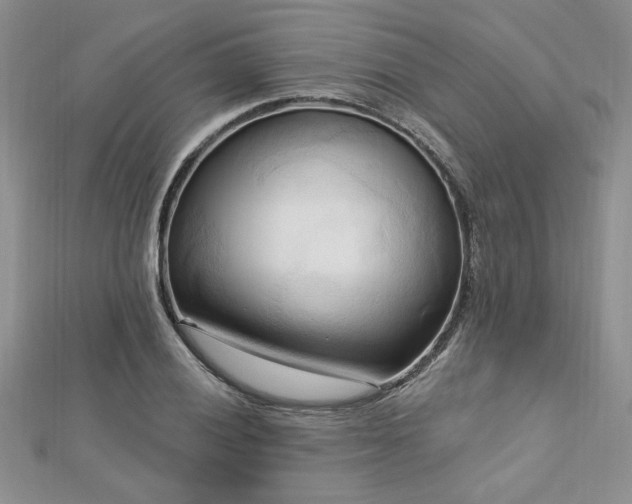X0000113131028200909041143