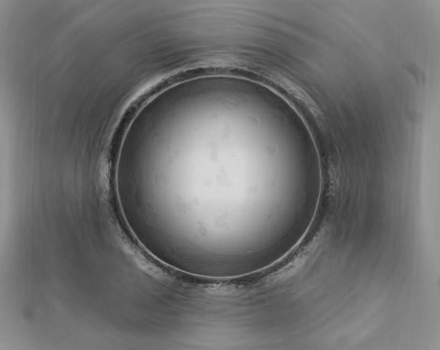 X0000113131029200909041143