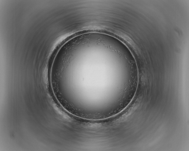 X0000113131030200909041143