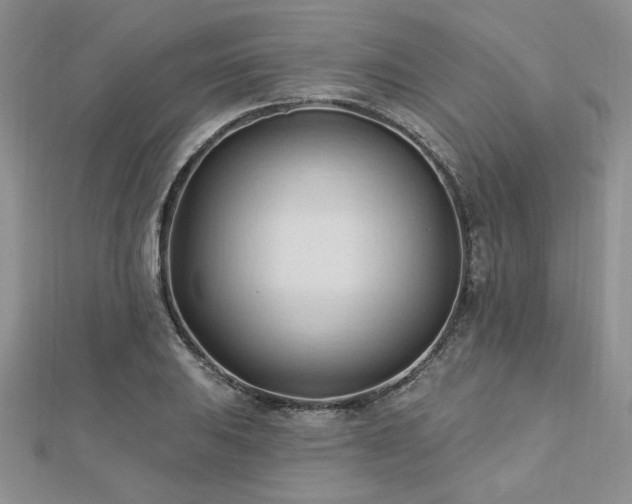X0000113131031200909041143