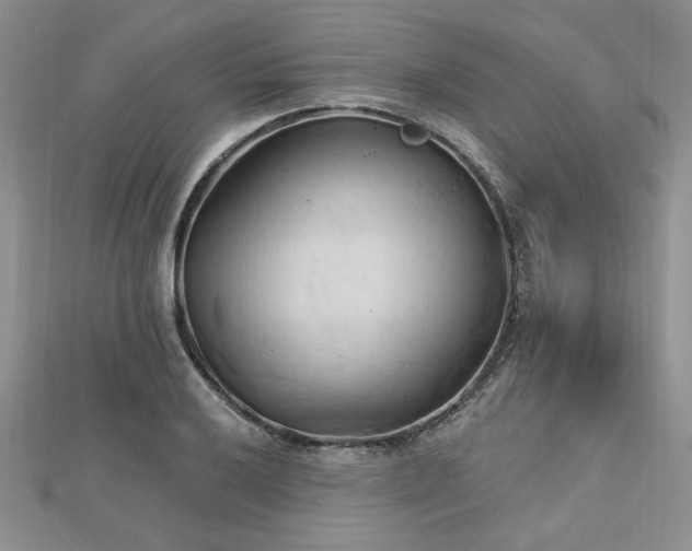 X0000113131032200909041143