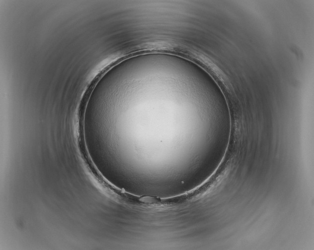 X0000113131034200909041143