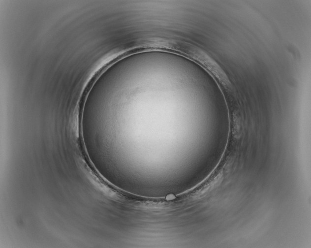 X0000113131036200909041143