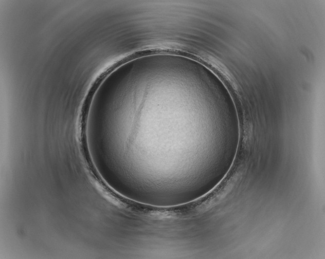 X0000113131037200909041143