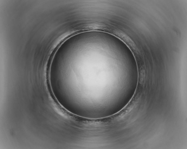 X0000113131039200909041143