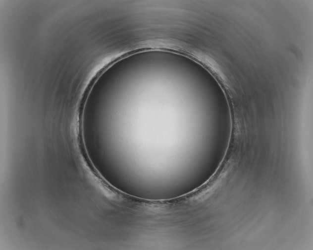 X0000113131040200909041143