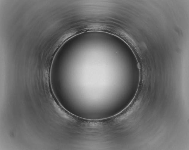 X0000113131041200909041143