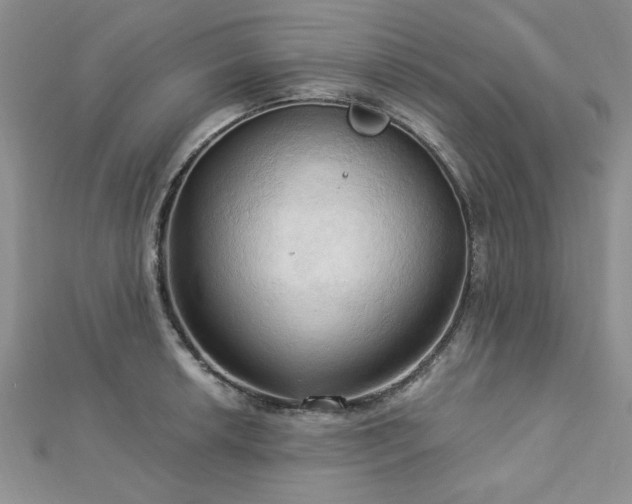 X0000113131042200909041143