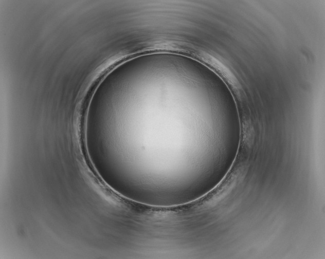 X0000113131043200909041143