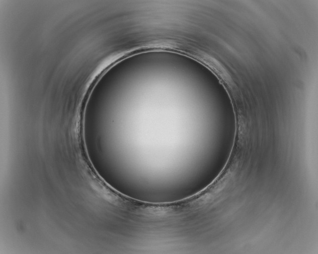 X0000113131044200909041143